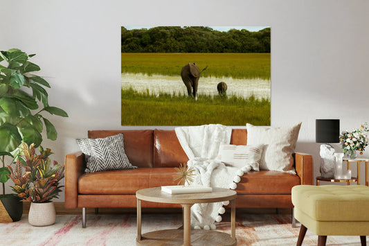 2749996 :: Giclée Stretched Canvas Print