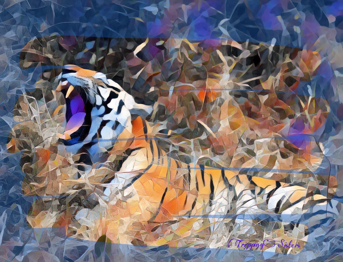 TS Artistic Creations