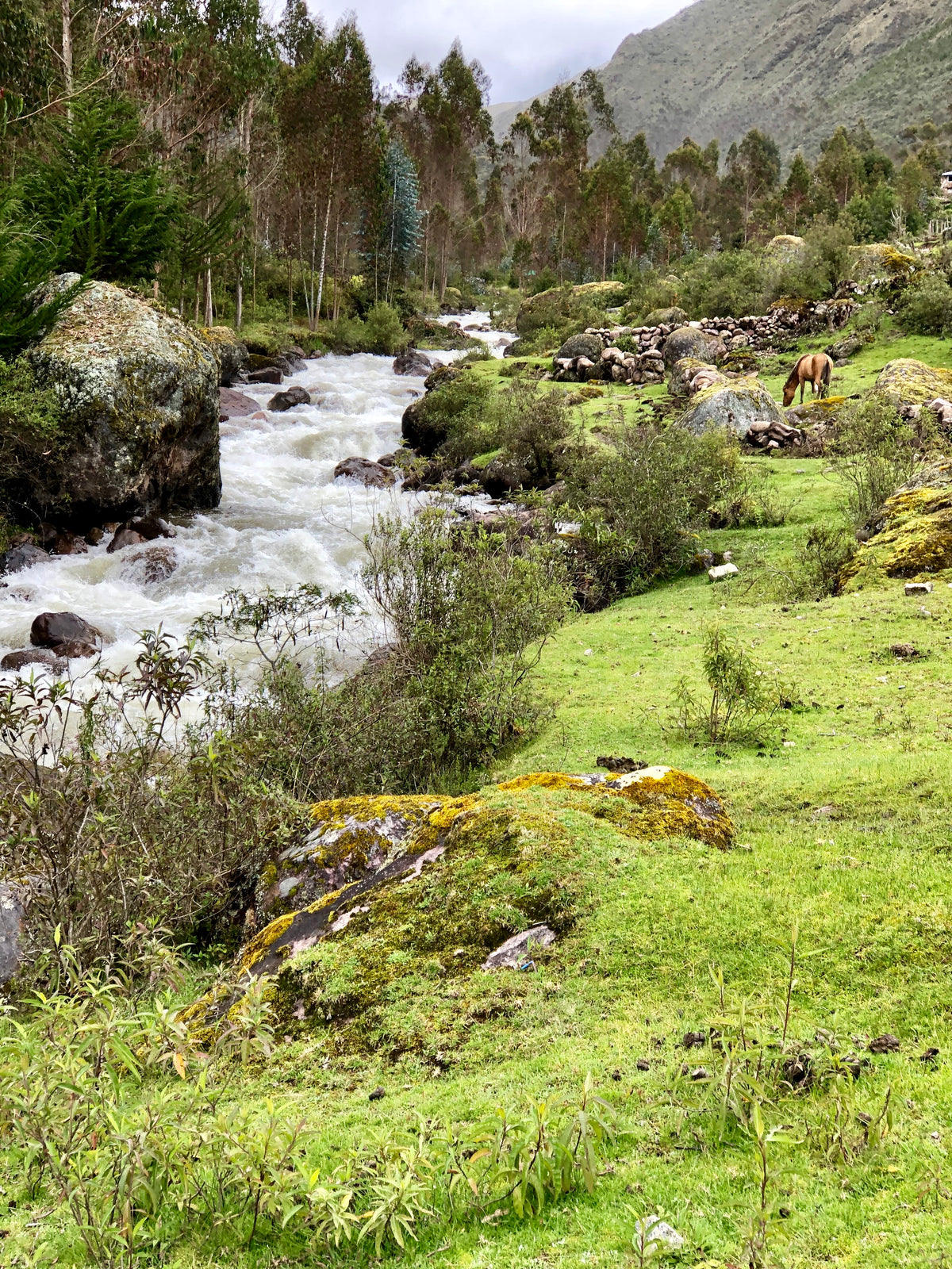 Landscapes