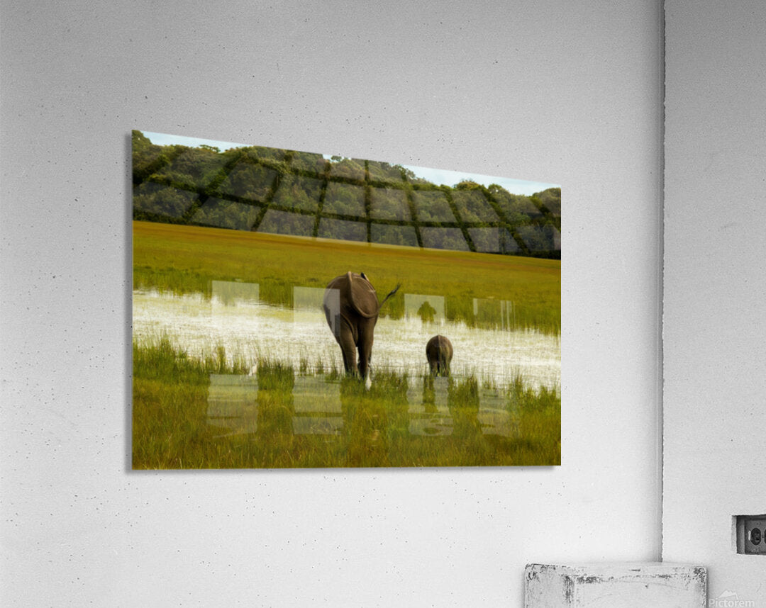 2749996 :: Acrylic Print
