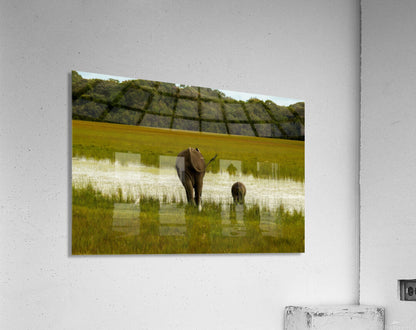 2749996 :: Acrylic Print