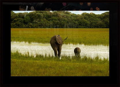 2749996 :: Framed Print