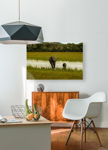 2749996 :: HD Sublimation Metal Print