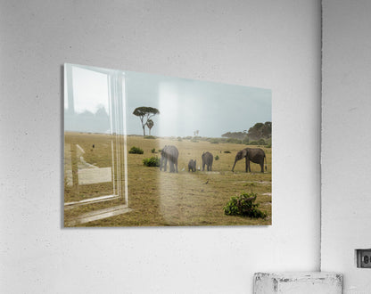 2728811 :: Acrylic Print