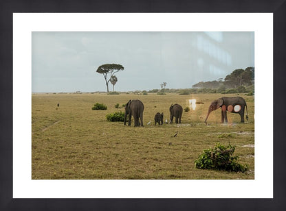 2728811 :: Framed Print