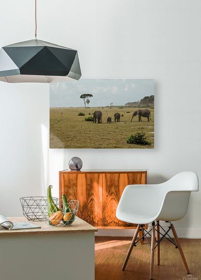 2728811 :: HD Sublimation Metal Print