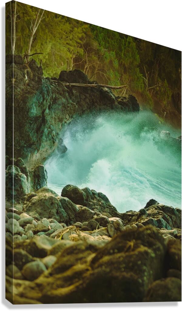 2753728 :: Giclée Stretched Canvas Print