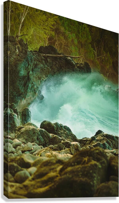 2753728 :: Giclée Stretched Canvas Print