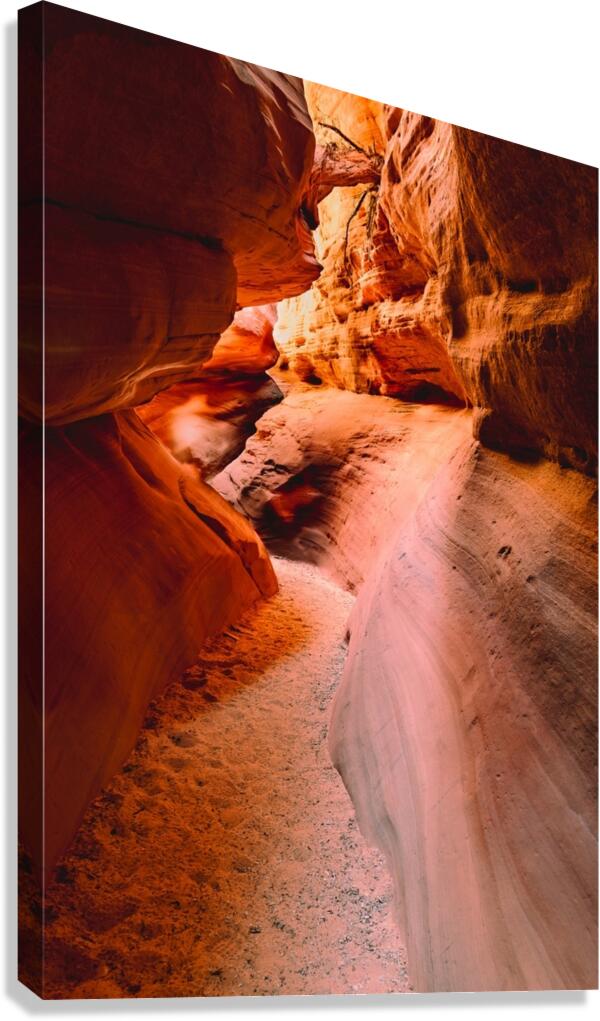 2754452 :: Giclée Stretched Canvas Print