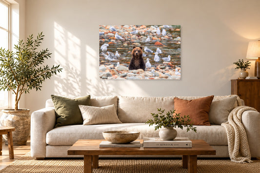 2798707 :: Upright Bear Among Creek Gulls